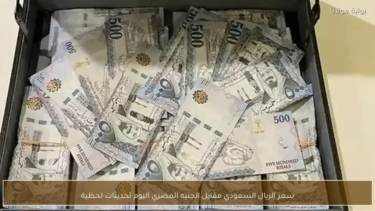 سعر الريال السعودي مقابل الجنيه المصري اليوم تحديثات لحظية