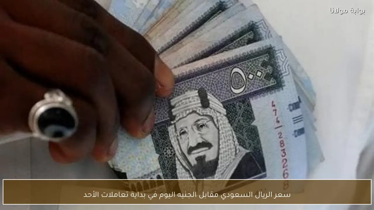 سعر الريال السعودي مقابل الجنيه اليوم في بداية تعاملات الأحد