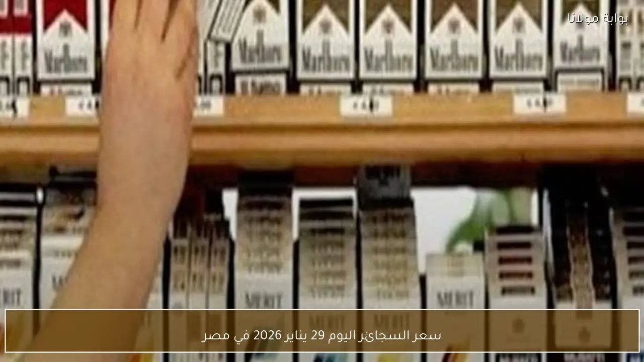 سعر السجائر اليوم 29 يناير 2026 في مصر