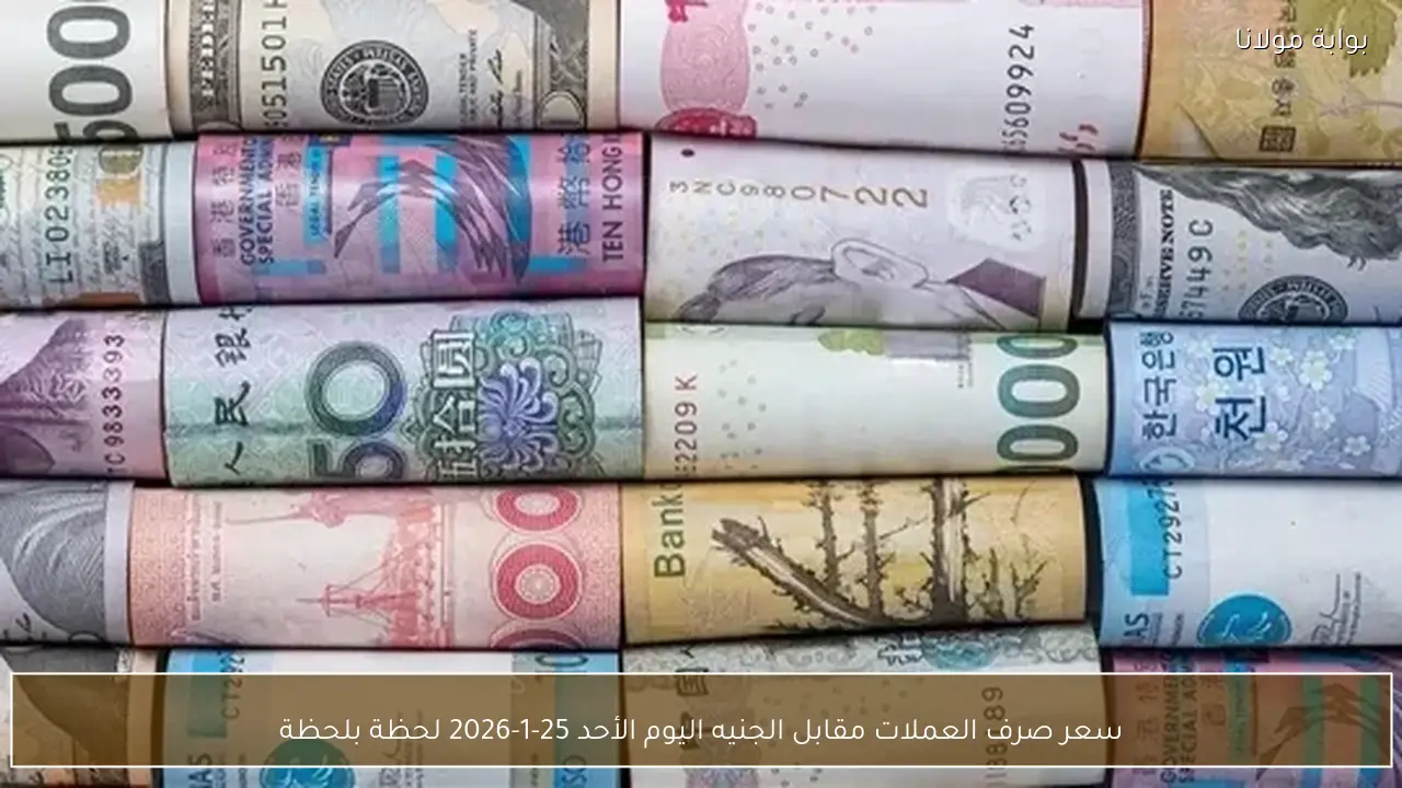 سعر صرف العملات مقابل الجنيه اليوم الأحد 25-1-2026 لحظة بلحظة