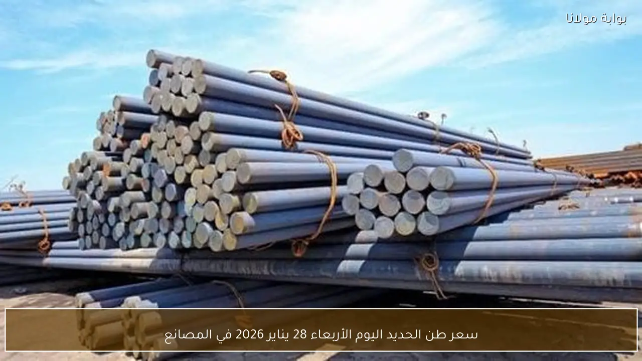 سعر طن الحديد اليوم الأربعاء 28 يناير 2026 في المصانع