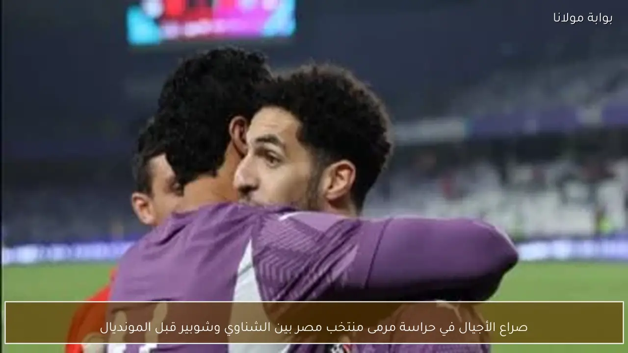 صراع الأجيال في حراسة مرمى منتخب مصر بين الشناوي وشوبير قبل المونديال