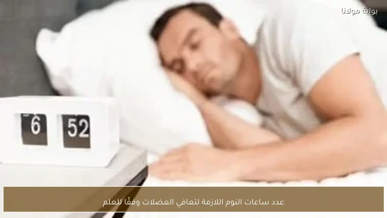 عدد ساعات النوم اللازمة لتعافي العضلات وفقًا للعلم