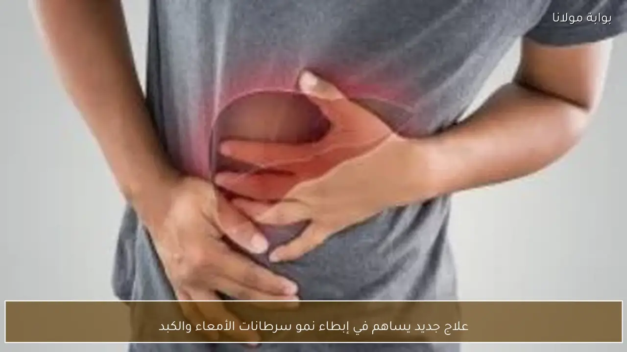 علاج جديد يساهم في إبطاء نمو سرطانات الأمعاء والكبد