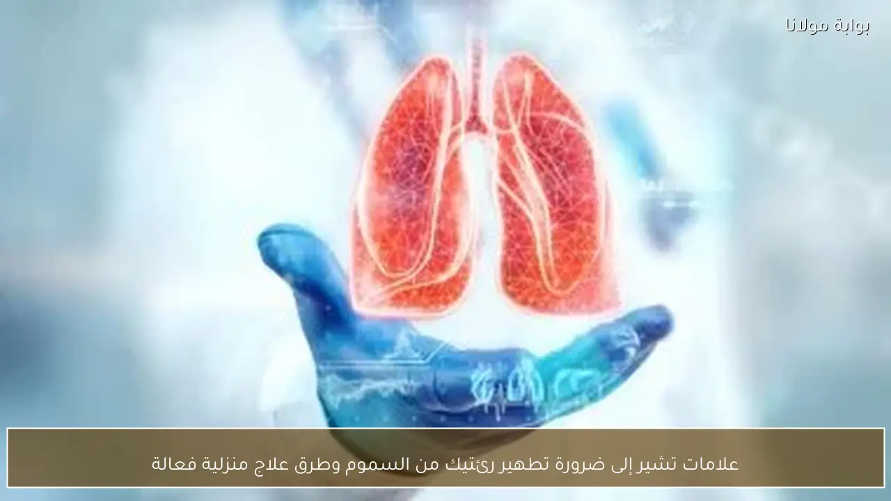 علامات تشير إلى ضرورة تطهير رئتيك من السموم وطرق علاج منزلية فعالة