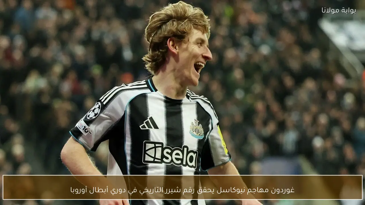 غوردون مهاجم نيوكاسل يحقق رقم شيرر التاريخي في دوري أبطال أوروبا