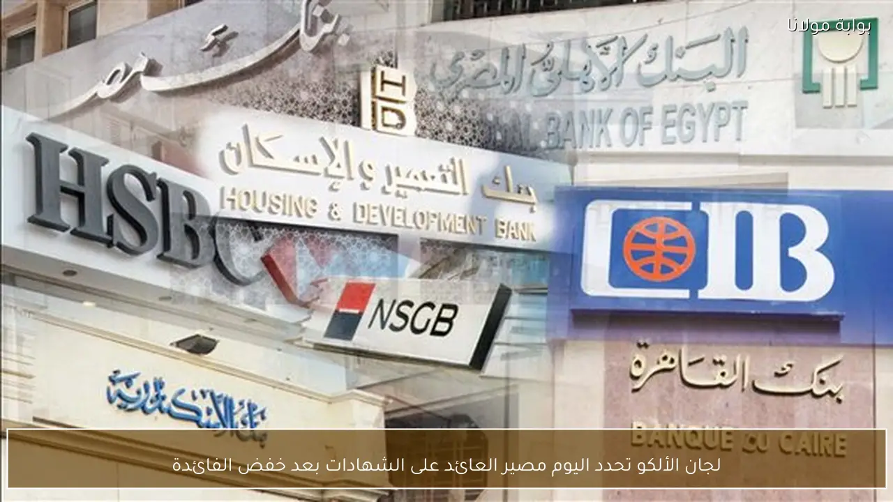 لجان الألكو تحدد اليوم مصير العائد على الشهادات بعد خفض الفائدة