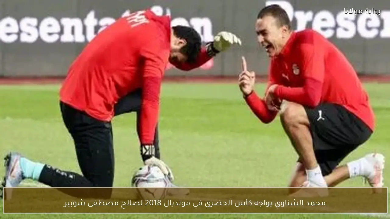 محمد الشناوي يواجه كأس الحضري في مونديال 2018 لصالح مصطفى شوبير