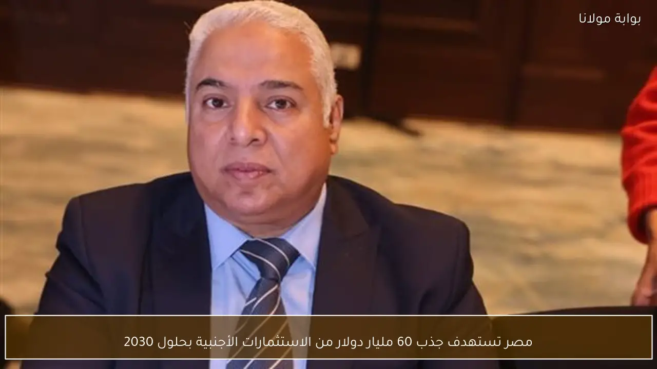 مصر تستهدف جذب 60 مليار دولار من الاستثمارات الأجنبية بحلول 2030