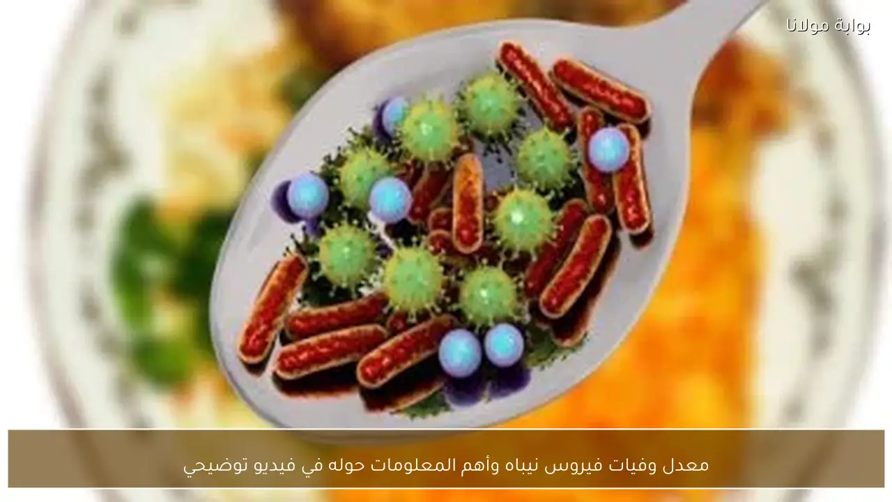 معدل وفيات فيروس نيباه وأهم المعلومات حوله في فيديو توضيحي