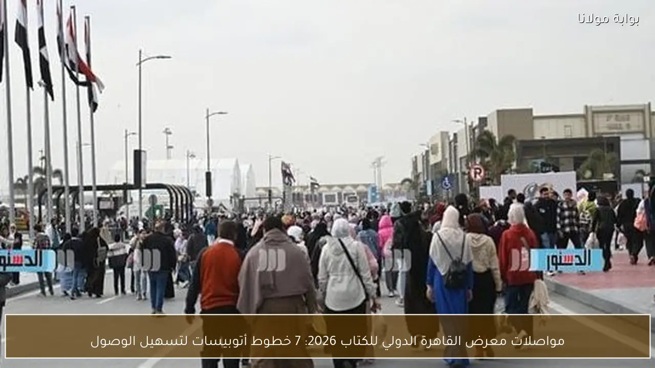 مواصلات معرض القاهرة الدولي للكتاب 2026: 7 خطوط أتوبيسات لتسهيل الوصول