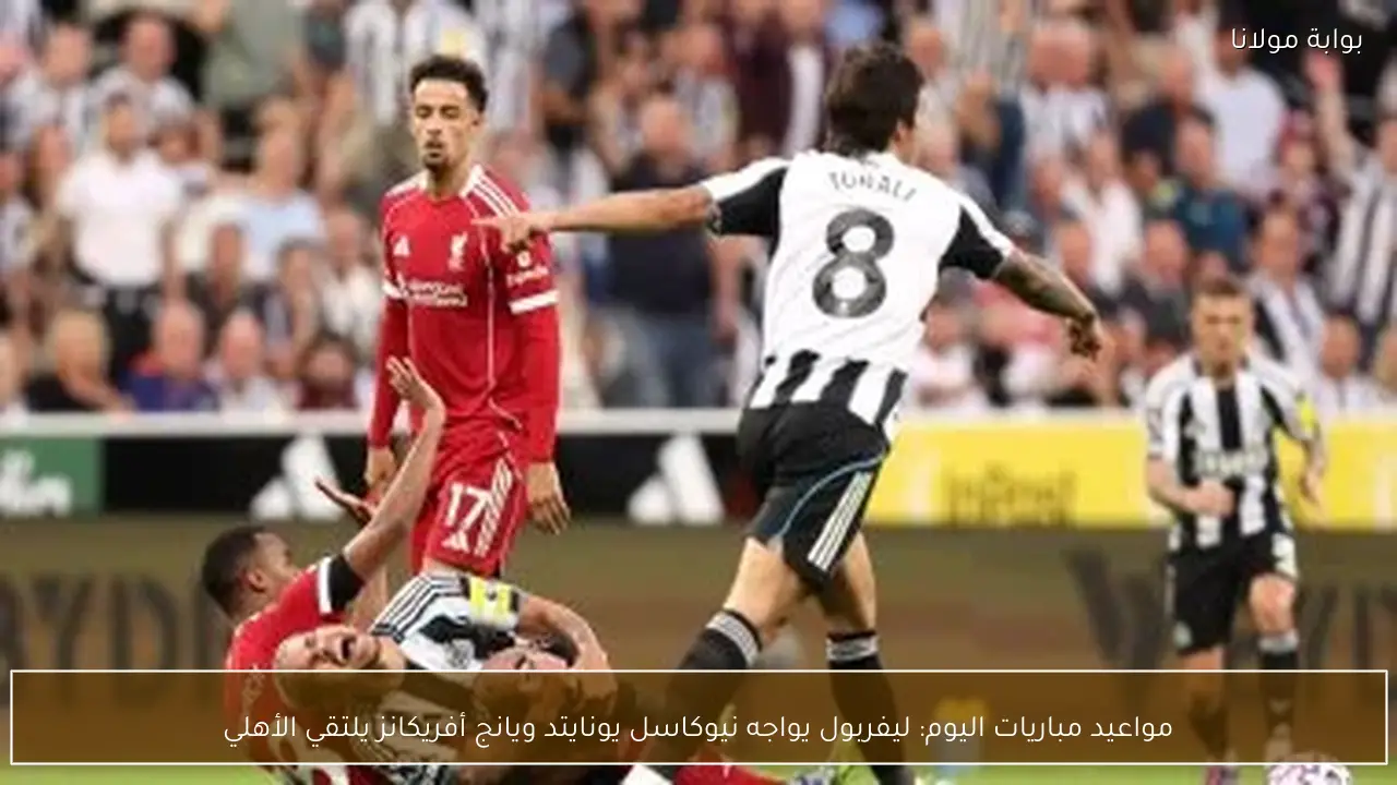 مواعيد مباريات اليوم: ليفربول يواجه نيوكاسل يونايتد ويانج أفريكانز يلتقي الأهلي