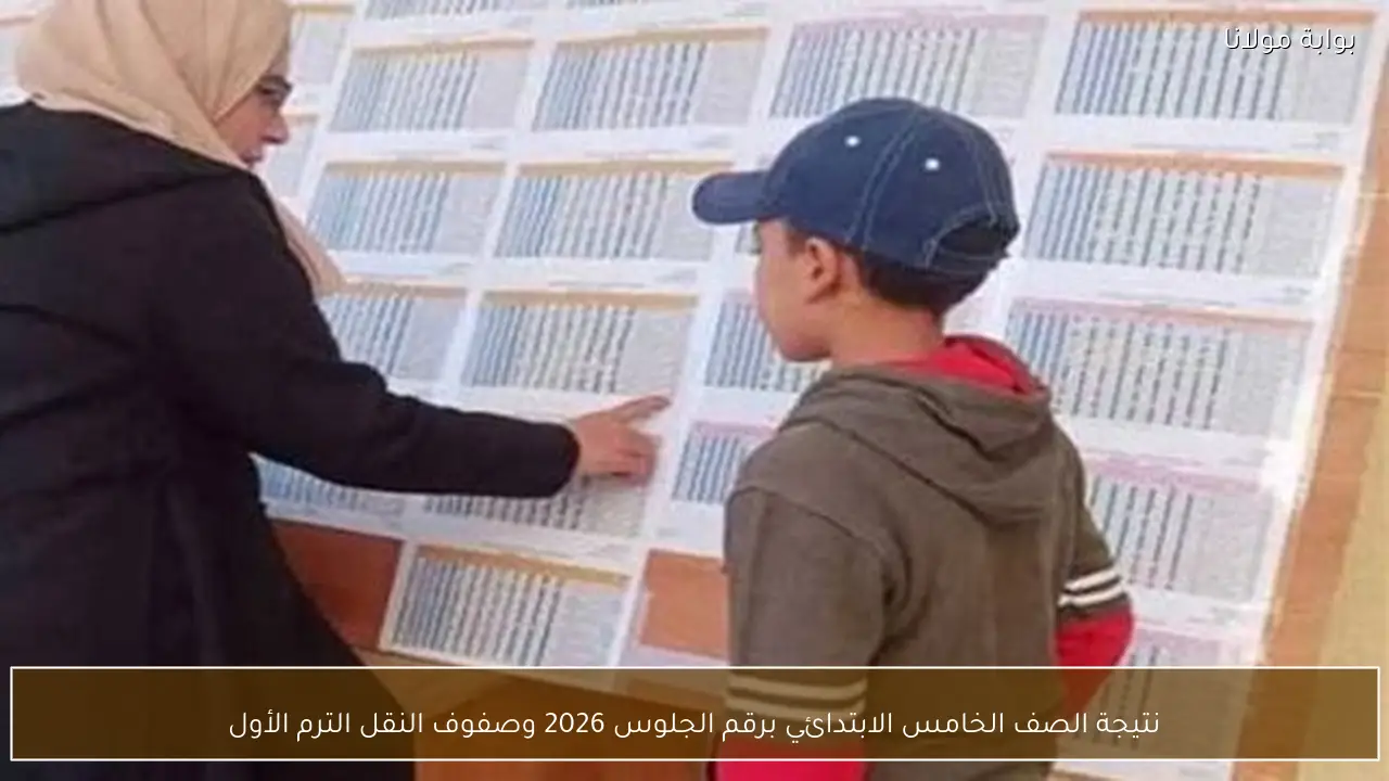 نتيجة الصف الخامس الابتدائي برقم الجلوس 2026 وصفوف النقل الترم الأول