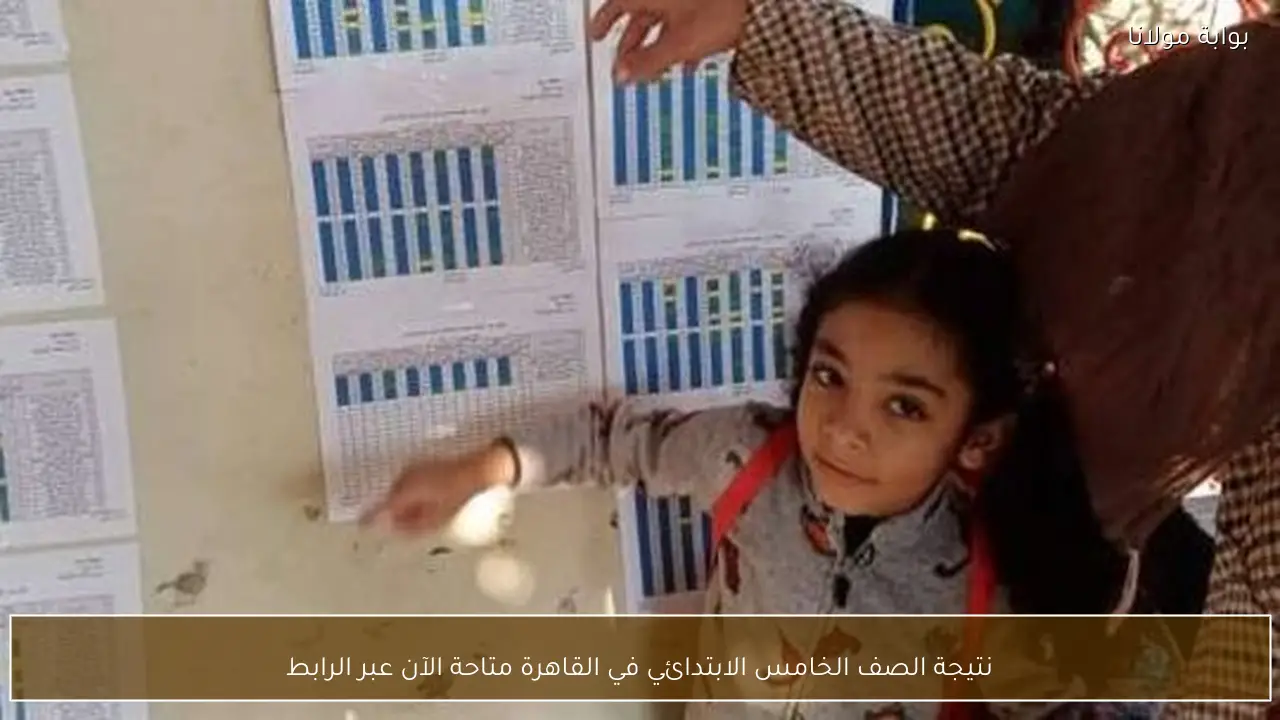 نتيجة الصف الخامس الابتدائي في القاهرة متاحة الآن عبر الرابط