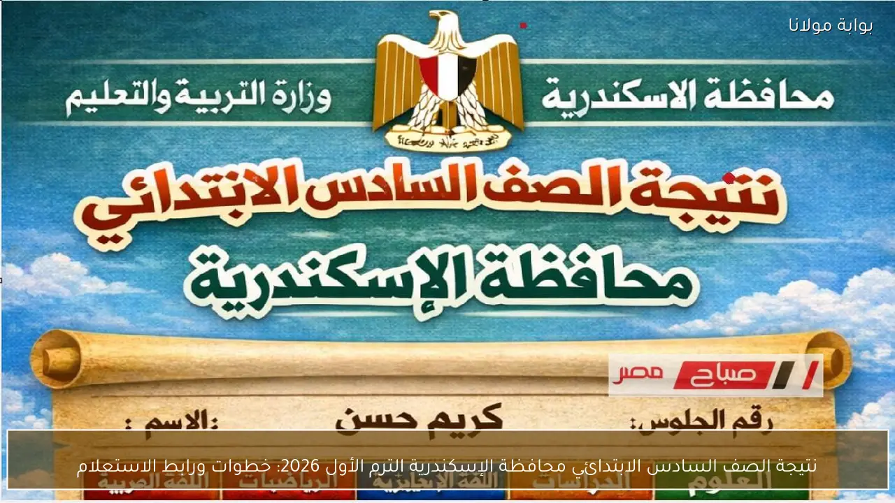 نتيجة الصف السادس الابتدائي محافظة الإسكندرية الترم الأول 2026: خطوات ورابط الاستعلام