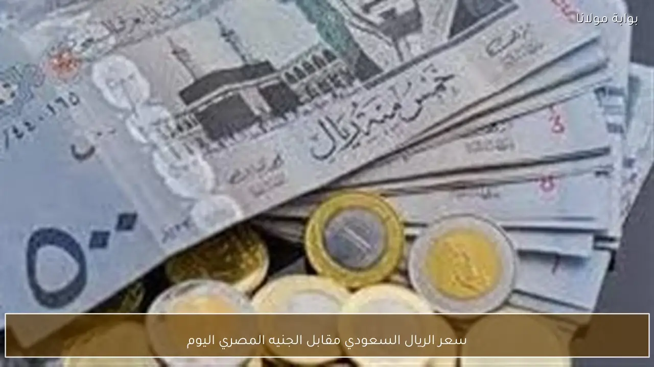 سعر الريال السعودي مقابل الجنيه المصري اليوم