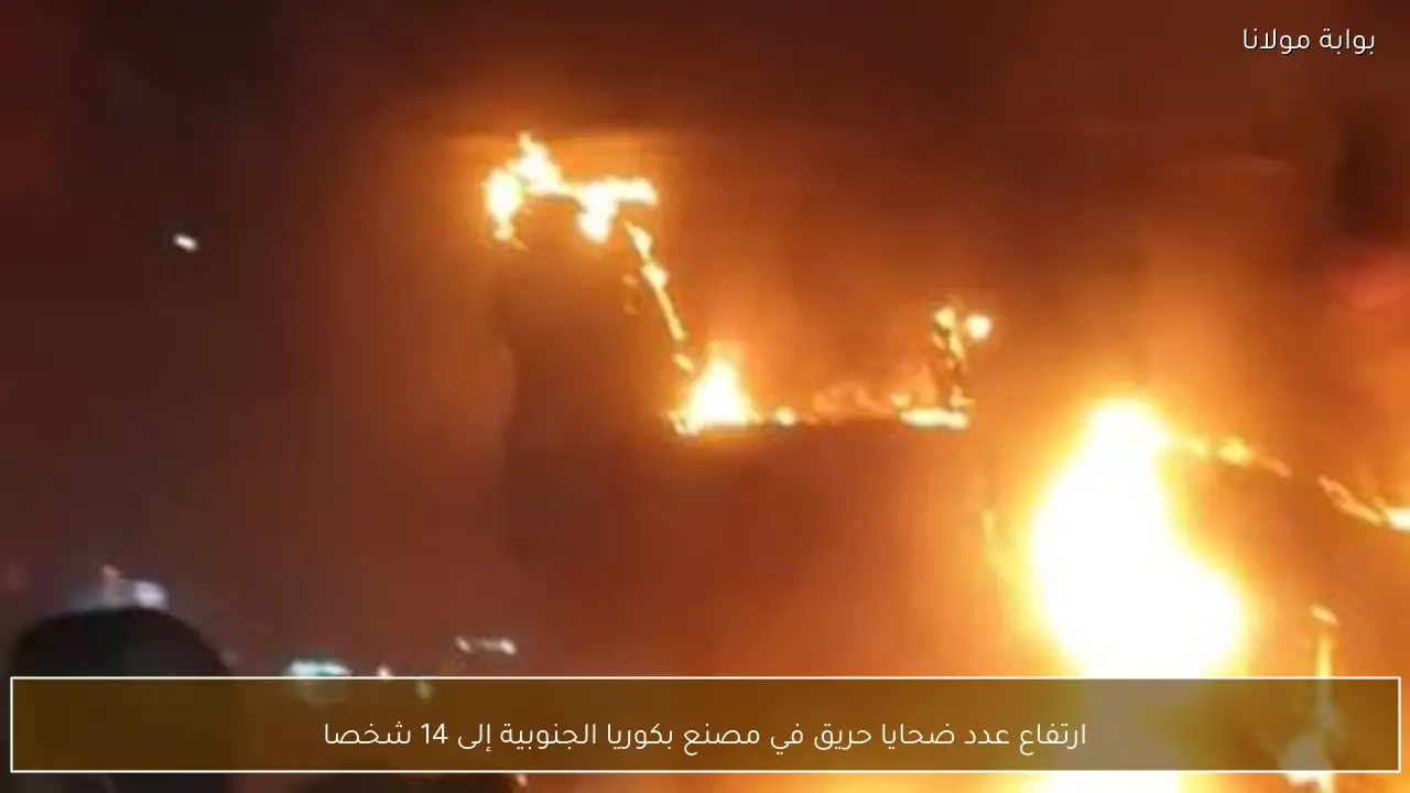 ارتفاع عدد ضحايا حريق في مصنع بكوريا الجنوبية إلى 14 شخصا