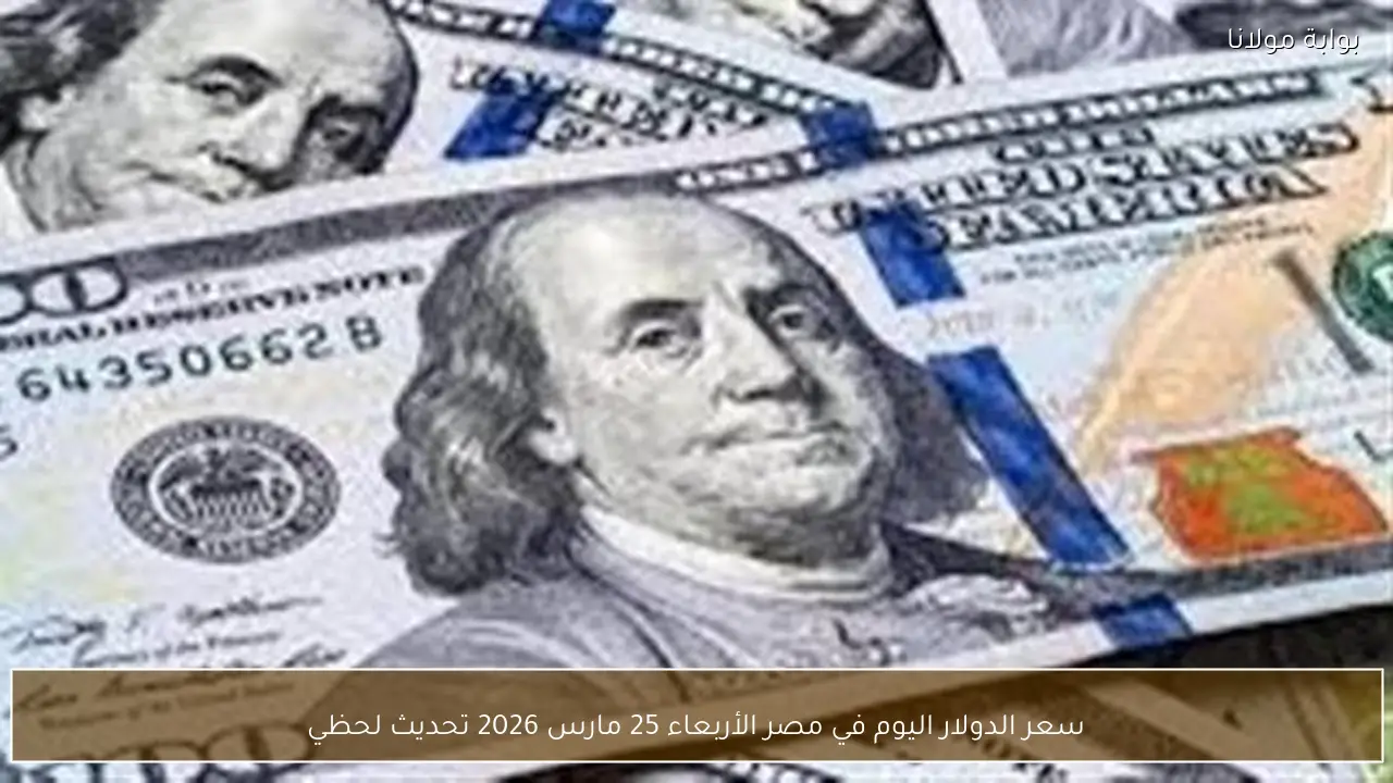 سعر الدولار اليوم في مصر الأربعاء 25 مارس 2026 تحديث لحظي