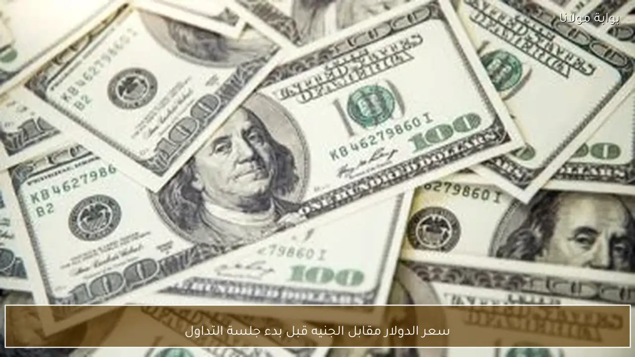 سعر الدولار مقابل الجنيه قبل بدء جلسة التداول