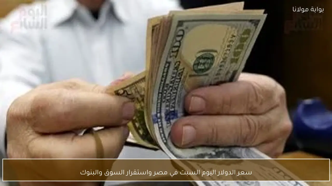 سعر الدولار اليوم السبت في مصر واستقرار السوق والبنوك