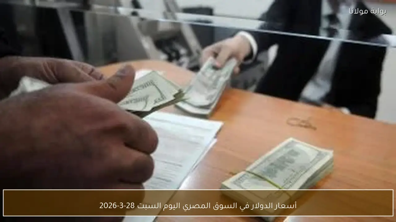 أسعار الدولار في السوق المصري اليوم السبت 28-3-2026