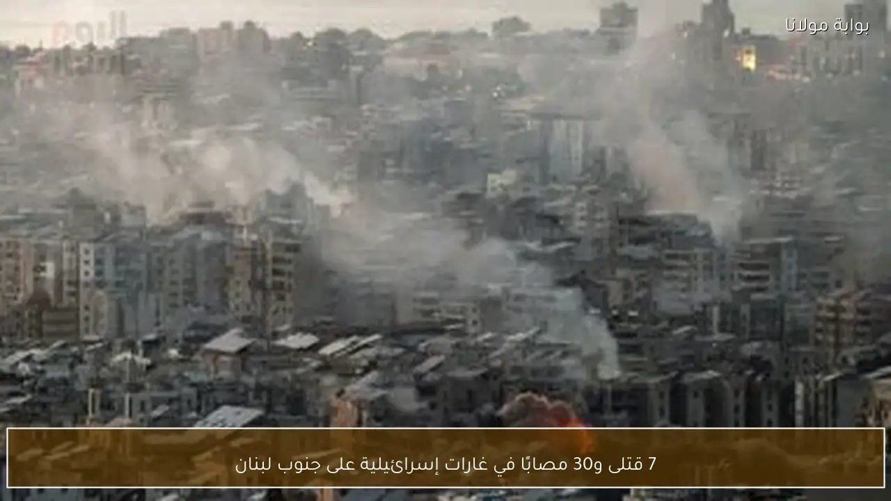 7 قتلى و30 مصابًا في غارات إسرائيلية على جنوب لبنان
