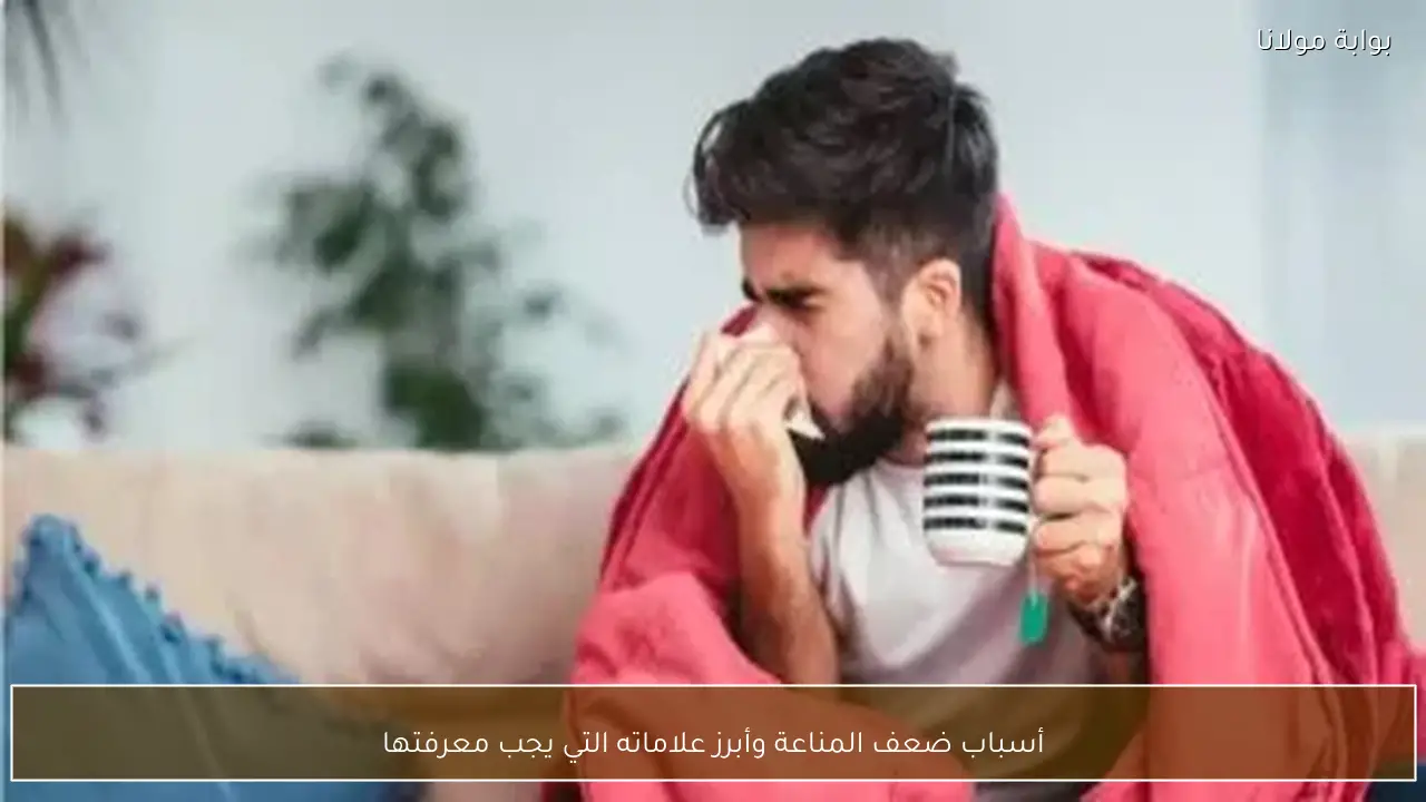 أسباب ضعف المناعة وأبرز علاماته التي يجب معرفتها