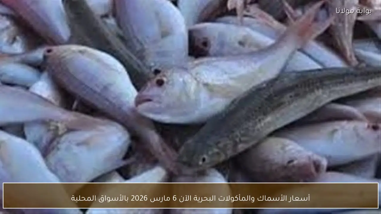 أسعار الأسماك والمأكولات البحرية الآن 6 مارس 2026 بالأسواق المحلية