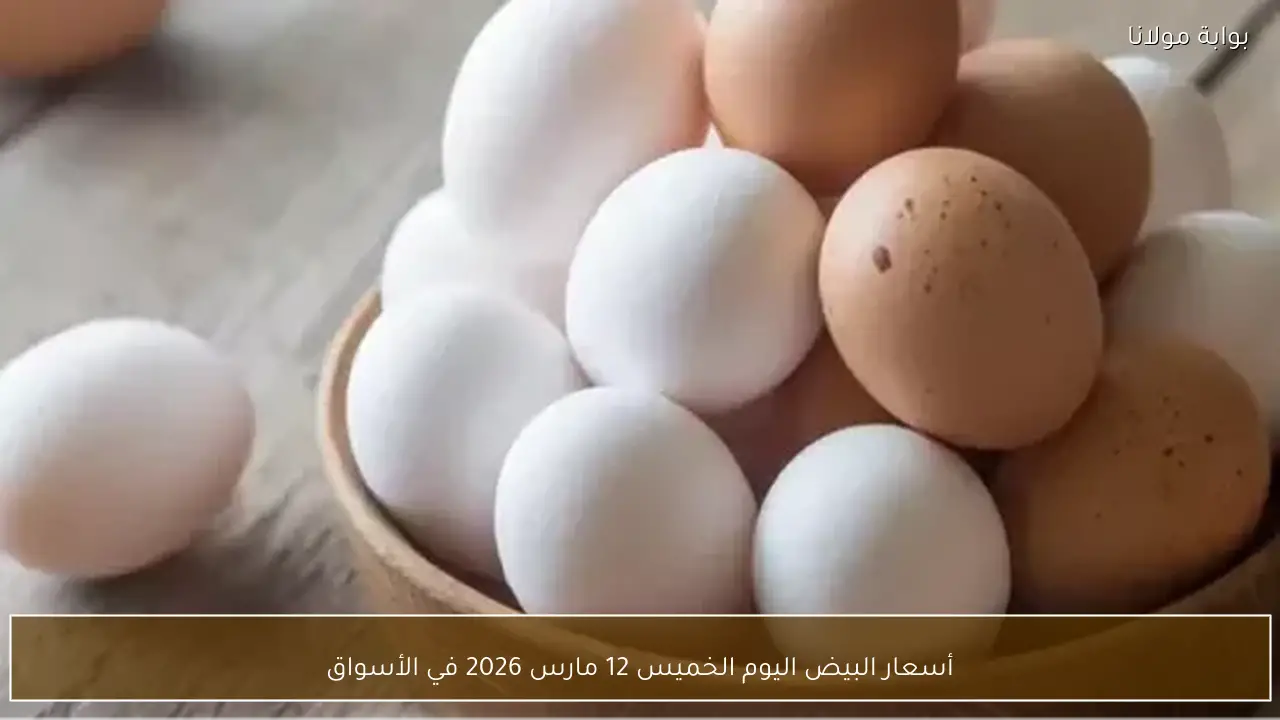 أسعار البيض اليوم الخميس 12 مارس 2026 في الأسواق