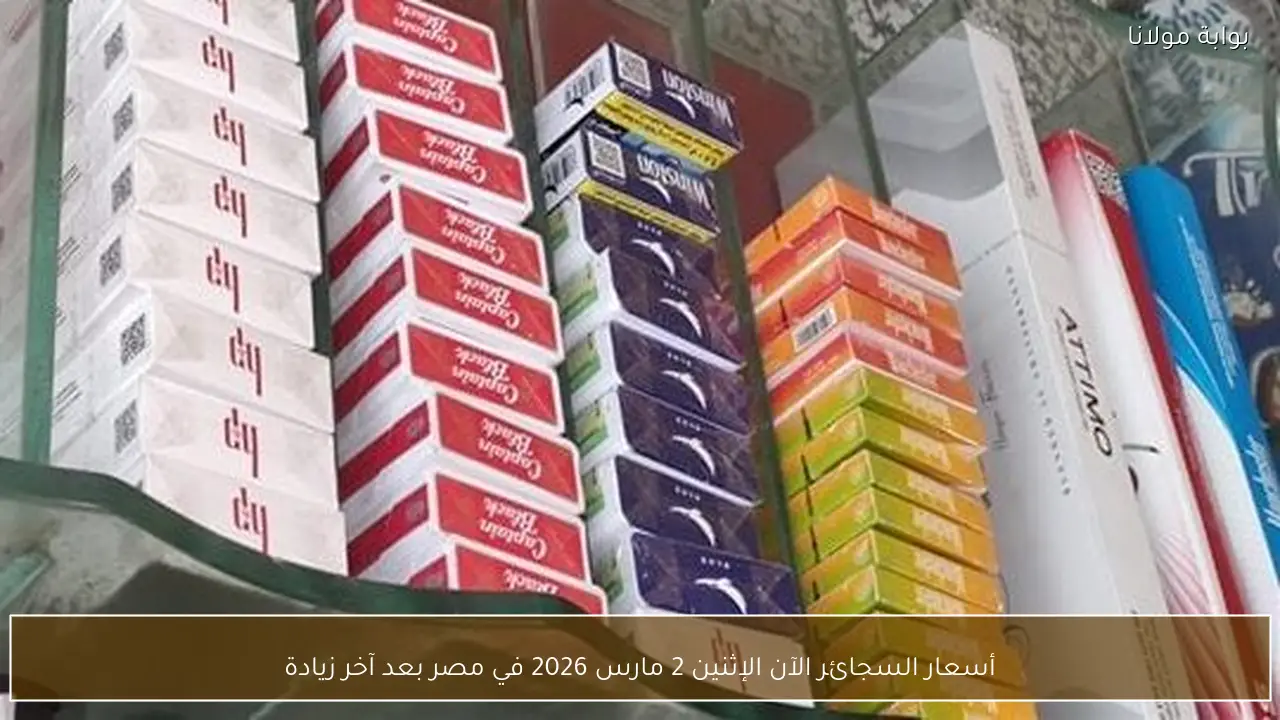 أسعار السجائر الآن الإثنين 2 مارس 2026 في مصر بعد آخر زيادة