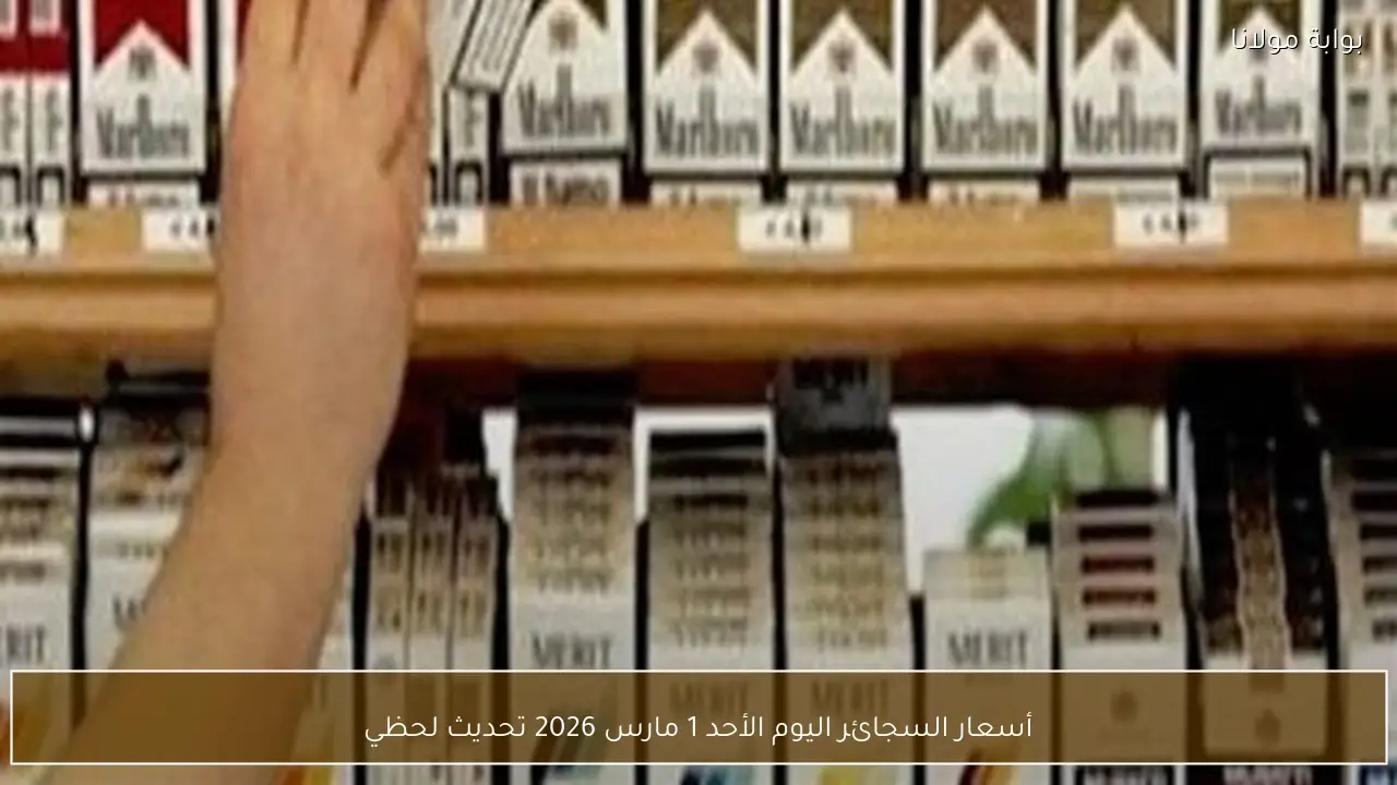 أسعار السجائر اليوم الأحد 1 مارس 2026 تحديث لحظي