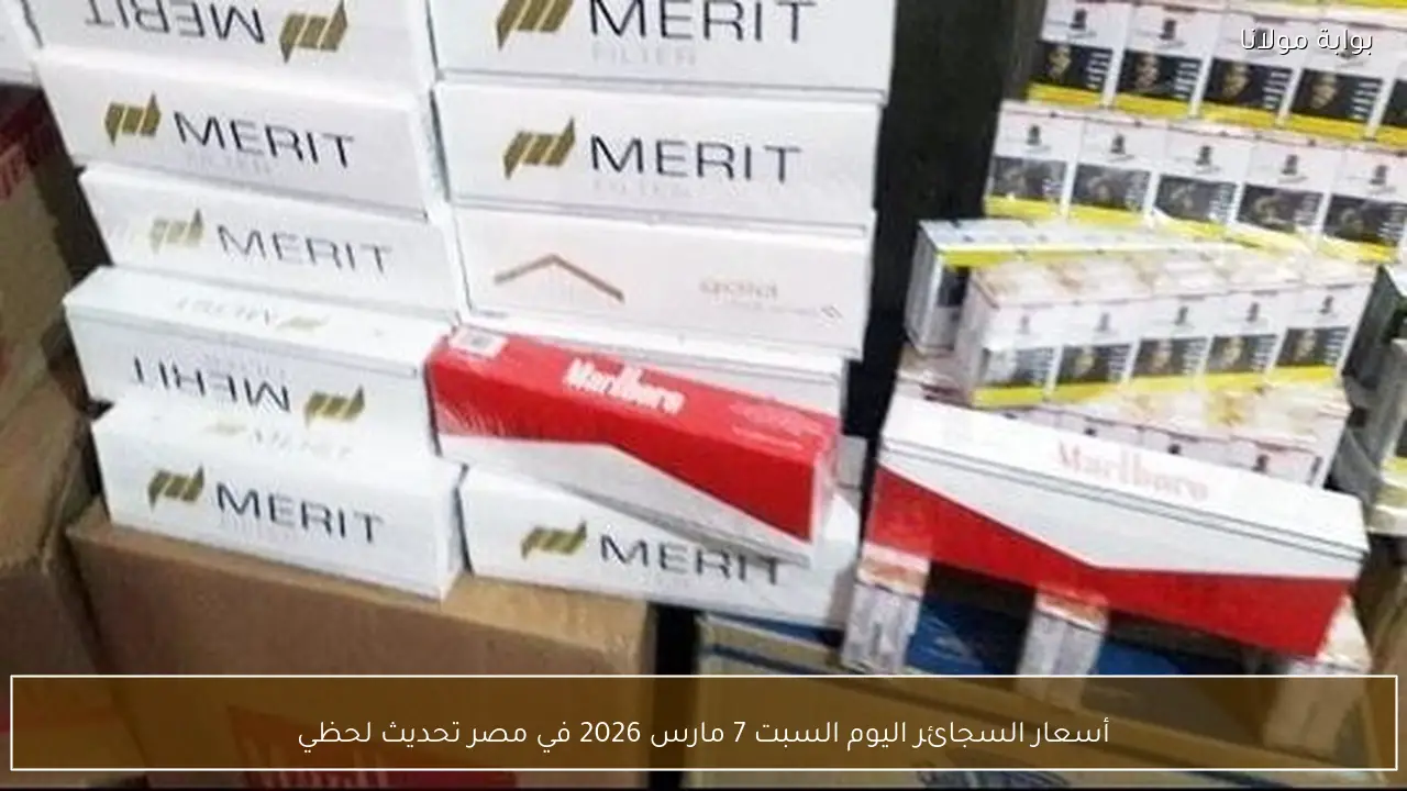 أسعار السجائر اليوم السبت 7 مارس 2026 في مصر تحديث لحظي