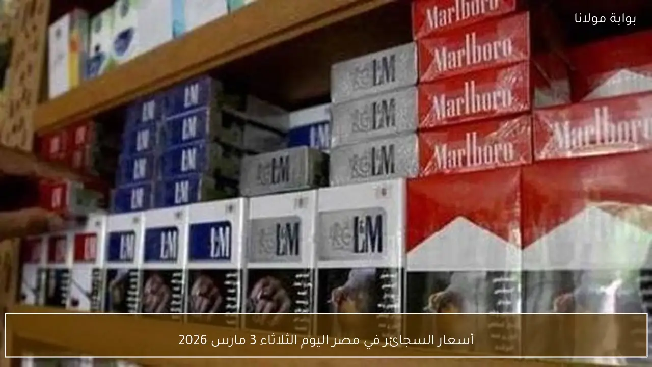 أسعار السجائر في مصر اليوم الثلاثاء 3 مارس 2026