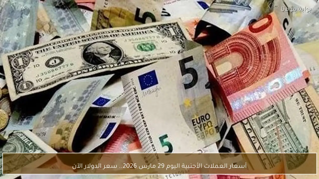 أسعار العملات الأجنبية اليوم 29 مارس 2026.. سعر الدولار الآن