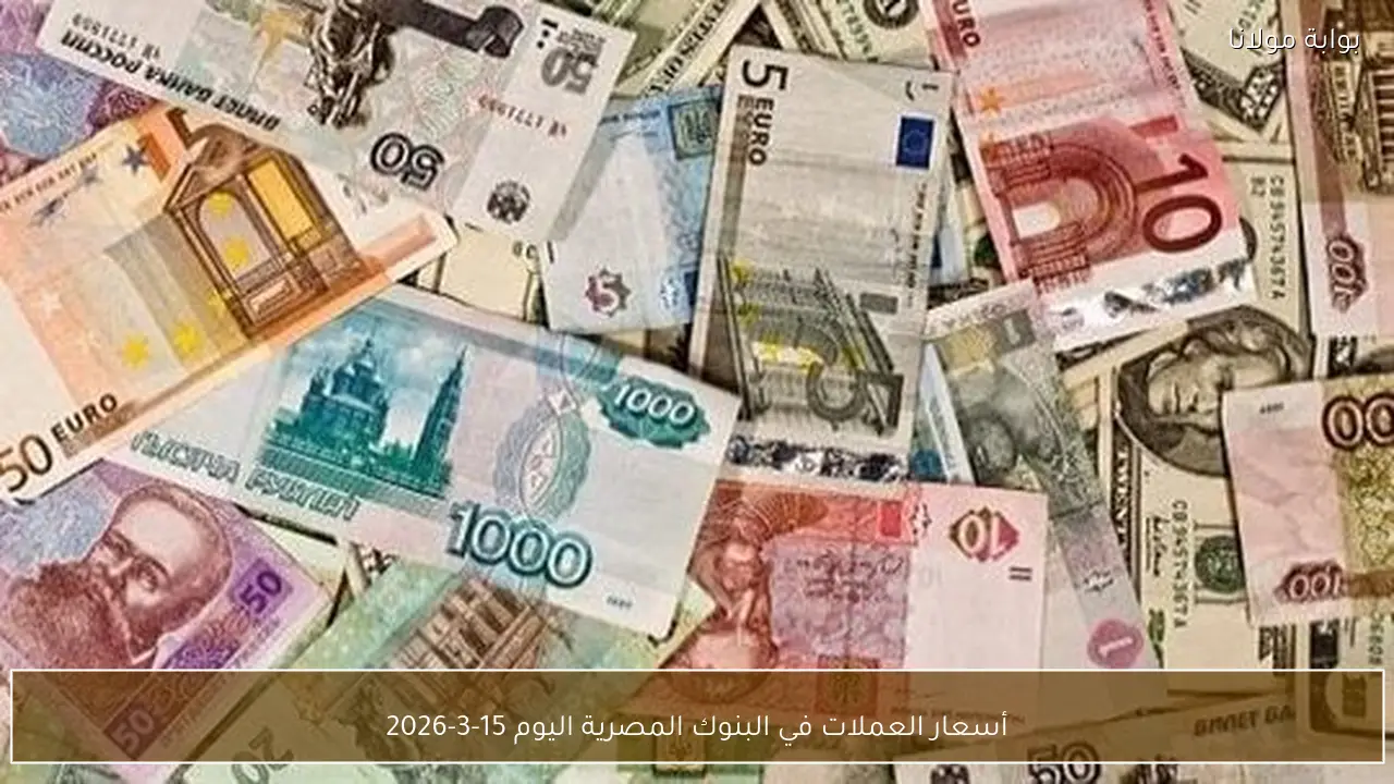 أسعار العملات في البنوك المصرية اليوم 15-3-2026