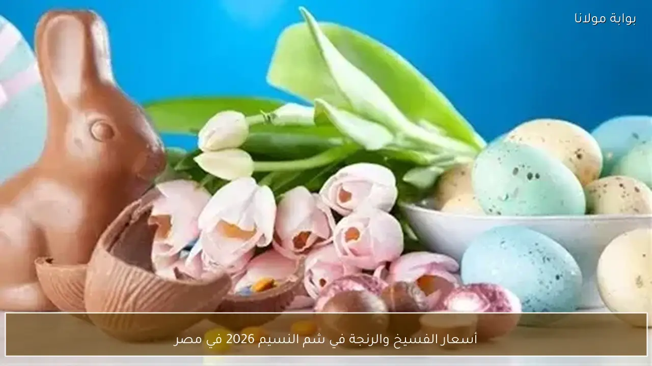 أسعار الفسيخ والرنجة في شم النسيم 2026 في مصر