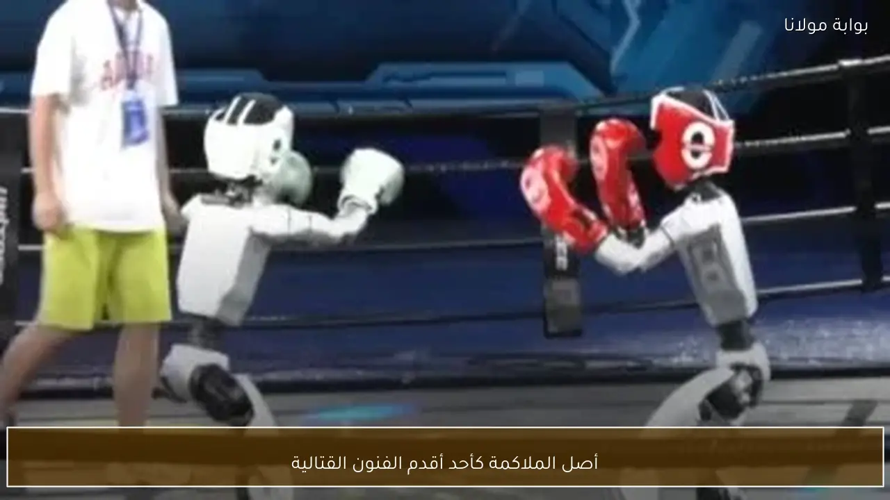 أصل الملاكمة كأحد أقدم الفنون القتالية