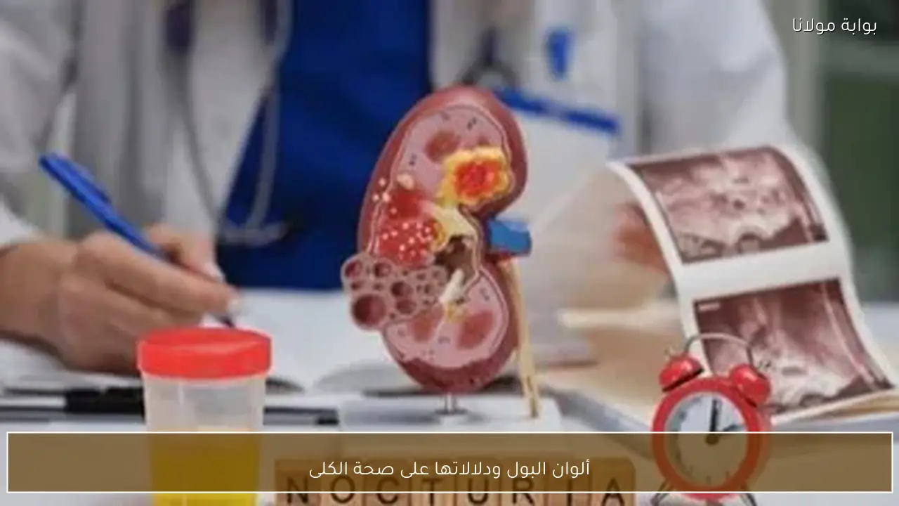 ألوان البول ودلالاتها على صحة الكلى