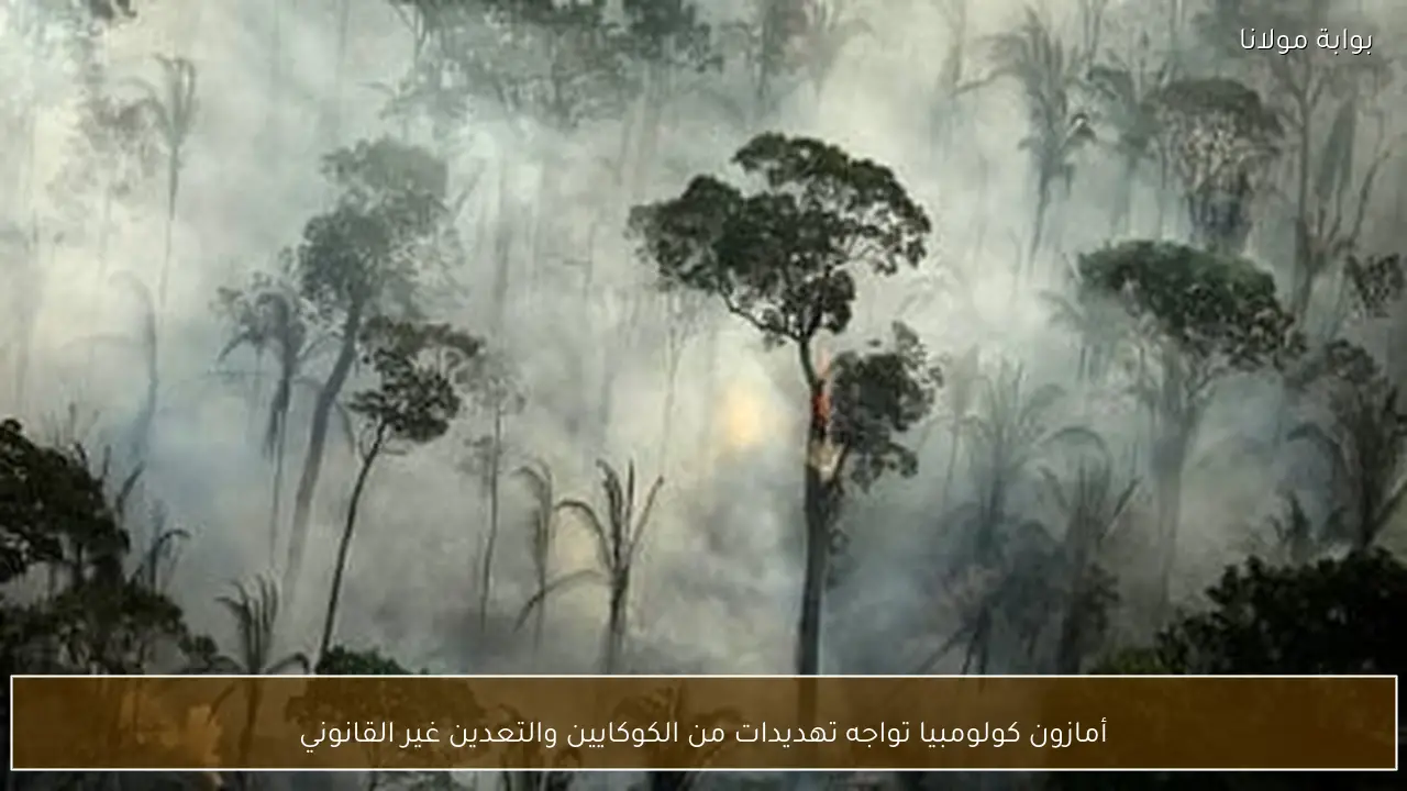 أمازون كولومبيا تواجه تهديدات من الكوكايين والتعدين غير القانوني