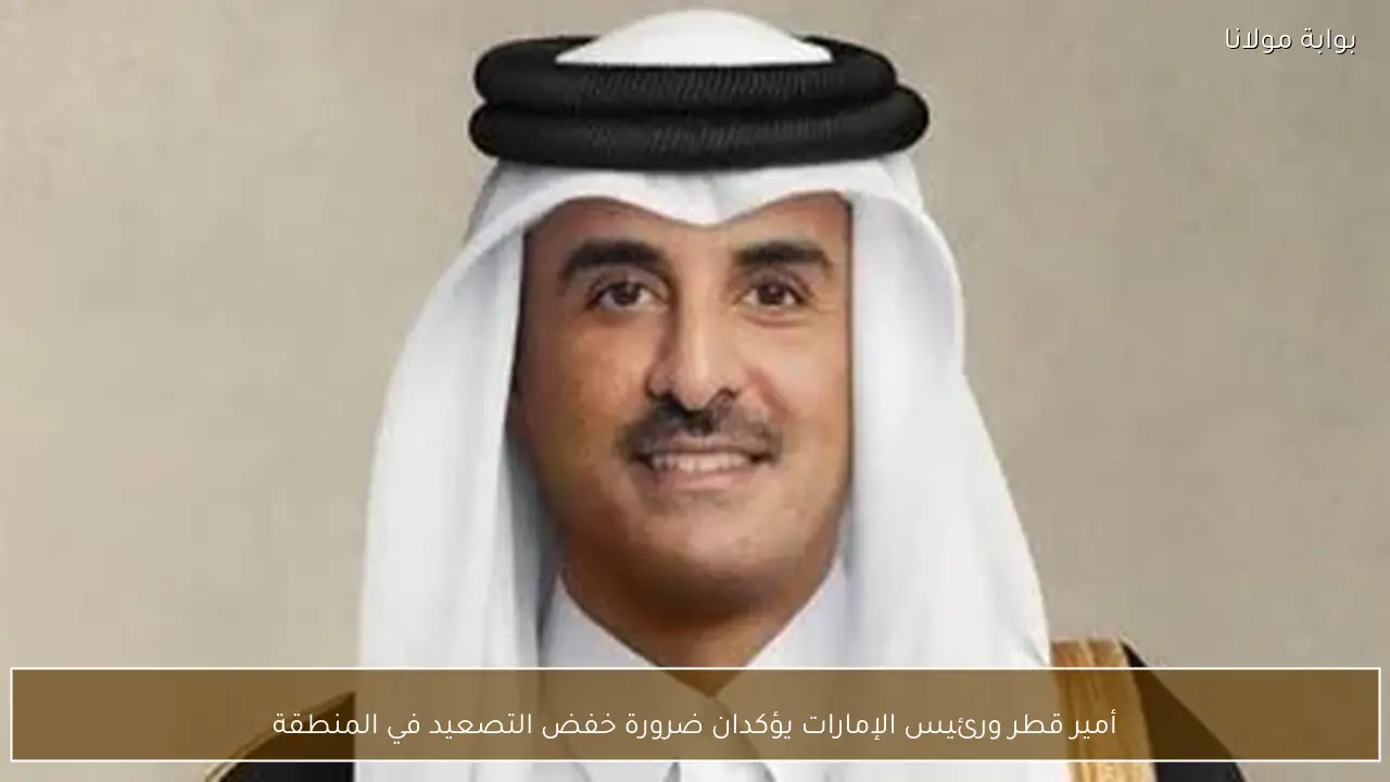 أمير قطر ورئيس الإمارات يؤكدان ضرورة خفض التصعيد في المنطقة