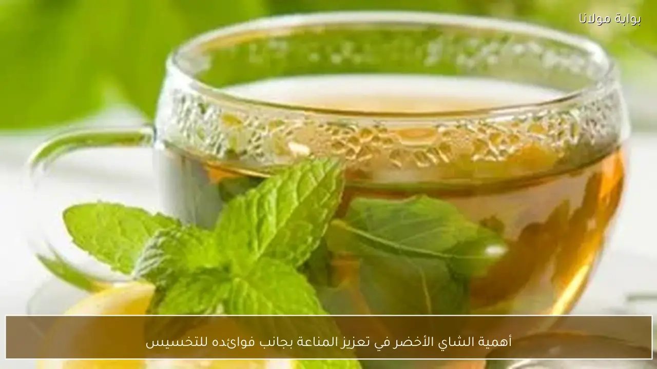 أهمية الشاي الأخضر في تعزيز المناعة بجانب فوائده للتخسيس