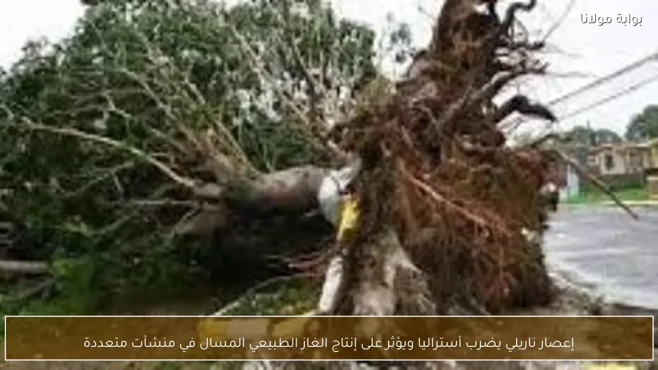 إعصار ناريلي يضرب أستراليا ويؤثر على إنتاج الغاز الطبيعي المسال في منشآت متعددة