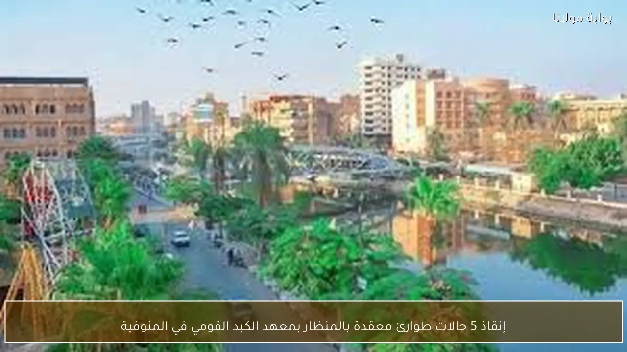 إنقاذ 5 حالات طوارئ معقدة بالمنظار بمعهد الكبد القومي في المنوفية