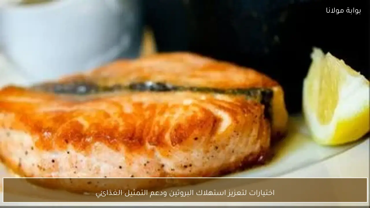 اختيارات لتعزيز استهلاك البروتين ودعم التمثيل الغذائي