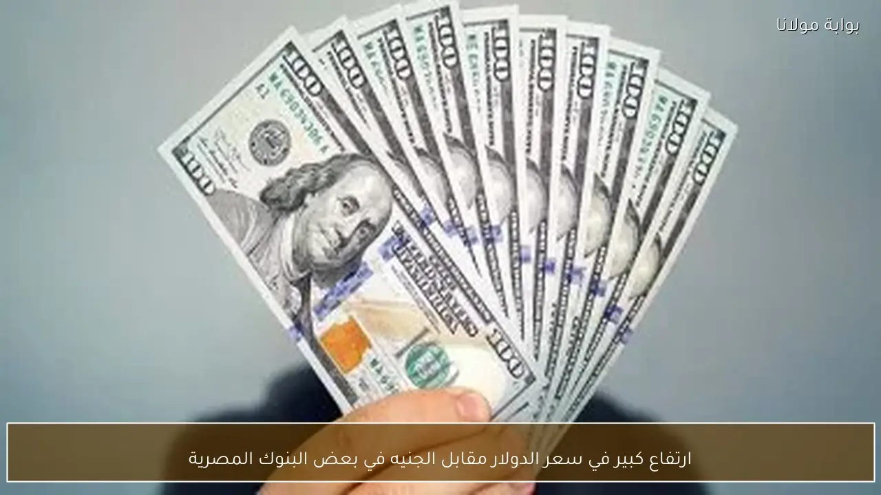 ارتفاع كبير في سعر الدولار مقابل الجنيه في بعض البنوك المصرية