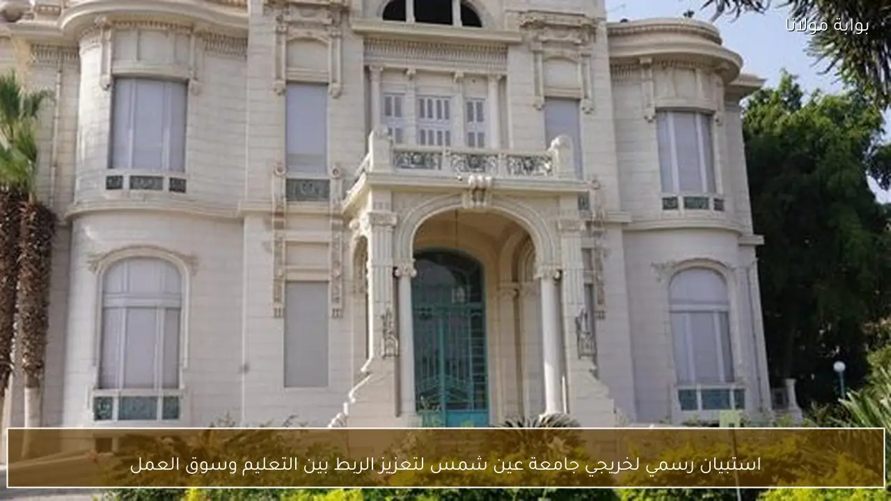 استبيان رسمي لخريجي جامعة عين شمس لتعزيز الربط بين التعليم وسوق العمل