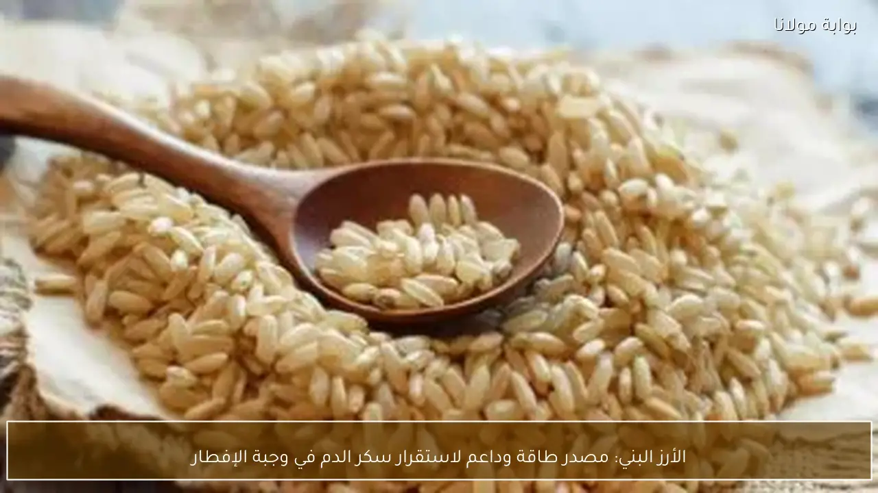 الأرز البني: مصدر طاقة وداعم لاستقرار سكر الدم في وجبة الإفطار
