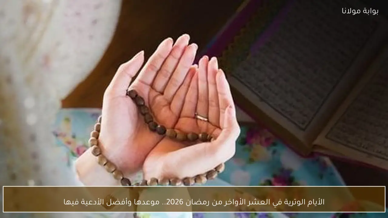 الأيام الوترية في العشر الأواخر من رمضان 2026.. موعدها وأفضل الأدعية فيها