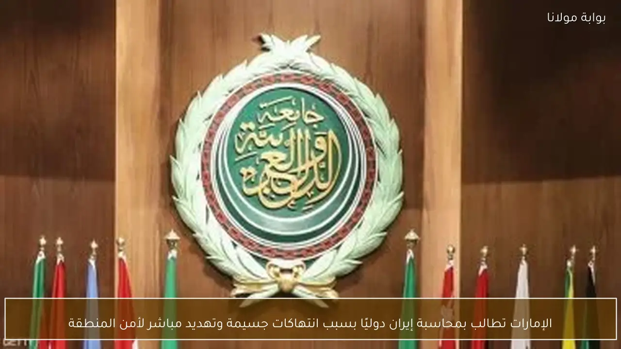 الإمارات تطالب بمحاسبة إيران دوليًا بسبب انتهاكات جسيمة وتهديد مباشر لأمن المنطقة