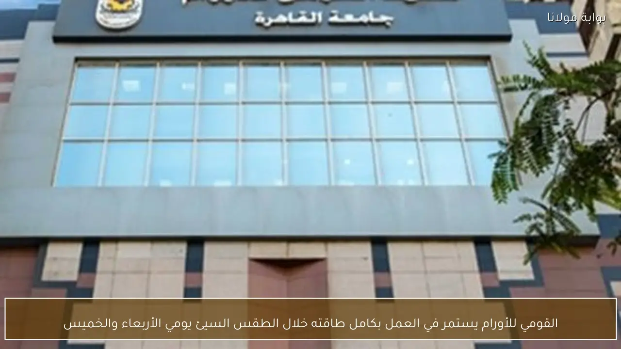 القومي للأورام يستمر في العمل بكامل طاقته خلال الطقس السيئ يومي الأربعاء والخميس